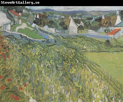 Vincent Van Gogh Vineyard with a View of Auvers (nn04)